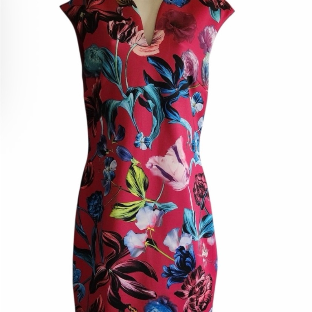 Ted Baker Pink Floral Hanging Garden Midi Dress